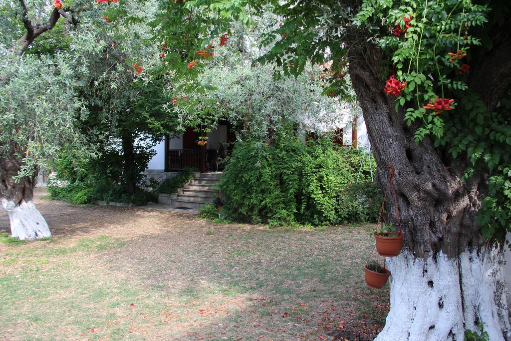 דירות Skala Rachoni  Patroudis House חדר תמונה