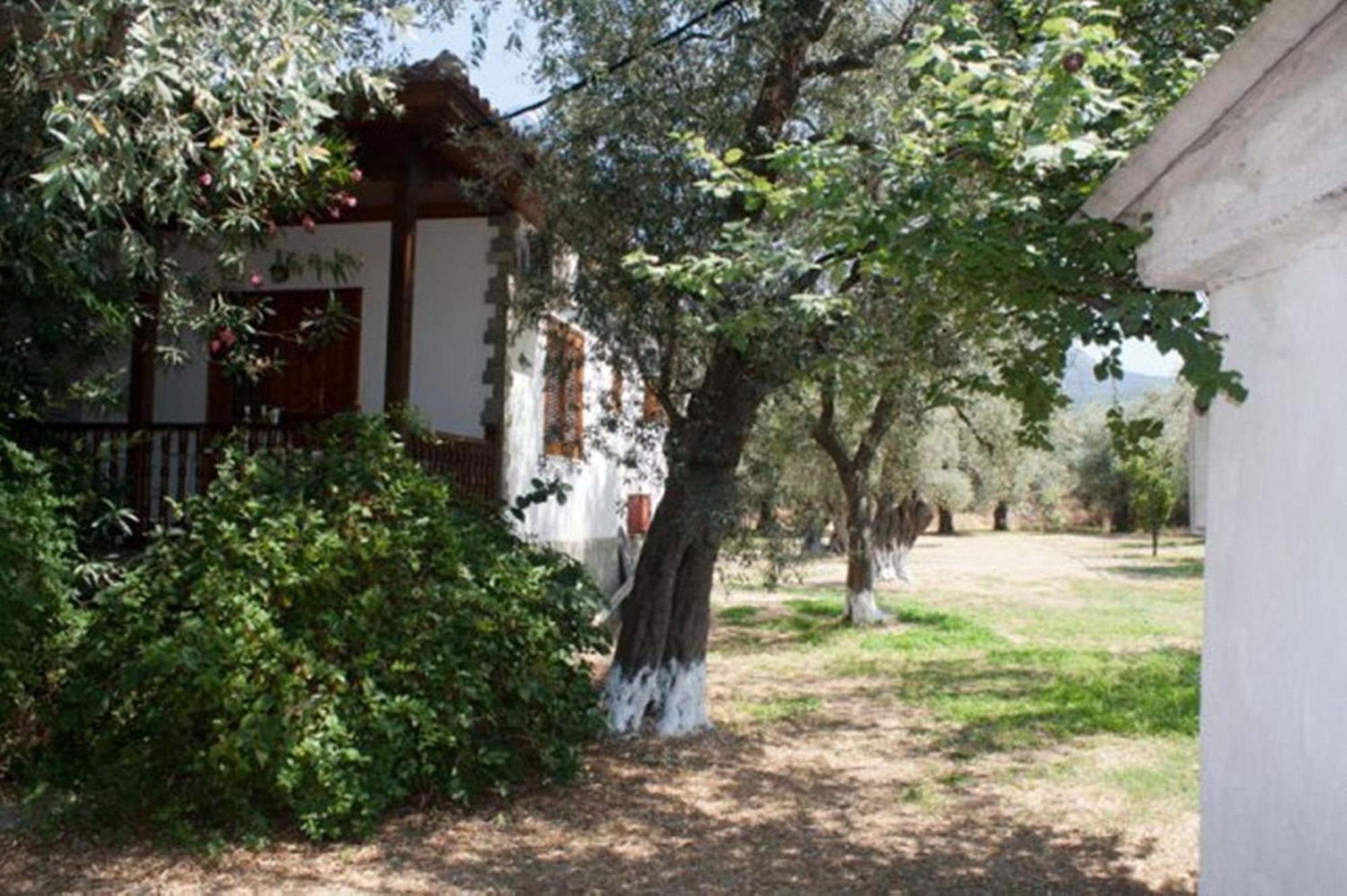 דירות Skala Rachoni  Patroudis House מראה חיצוני תמונה