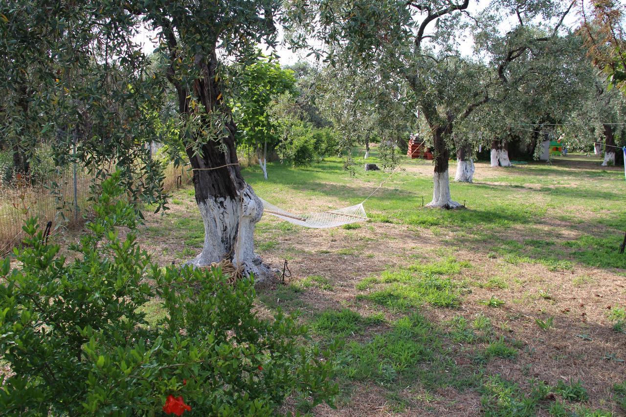 דירות Skala Rachoni  Patroudis House מראה חיצוני תמונה
